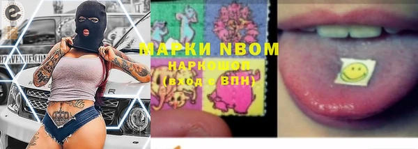 гашик Алексин
