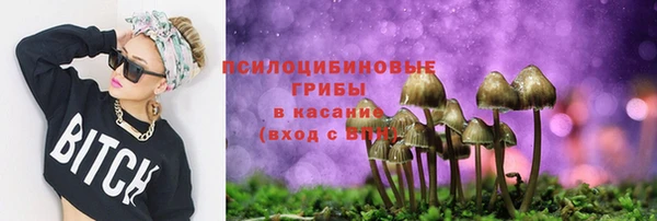 гашик Алексин