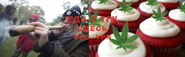 гашик Алексин