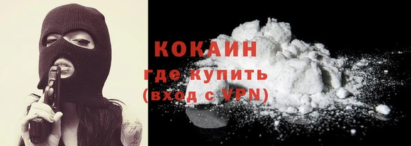 гашик Алексин