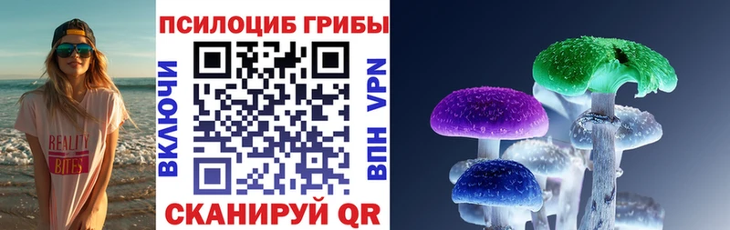 наркотики Калининск MEGA маркетплейс Псилоцибиновые грибы Psilocybine cubensis